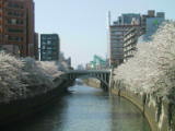 030406 009.jpg